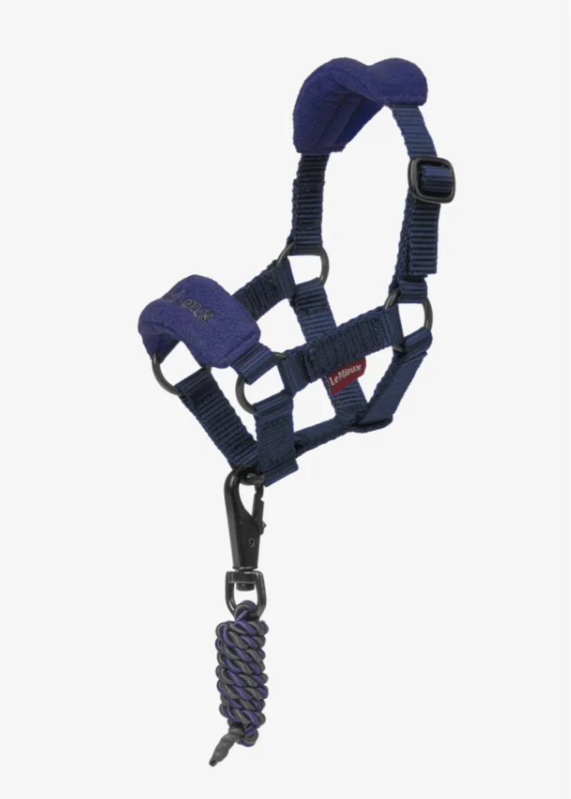 LeMieux Toy Pony Vogue Headcollar - Ink Blue